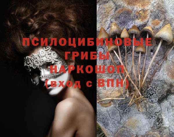 mix Богородск