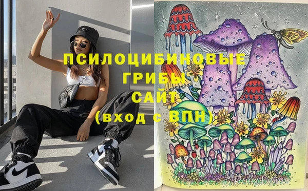 mix Богородск