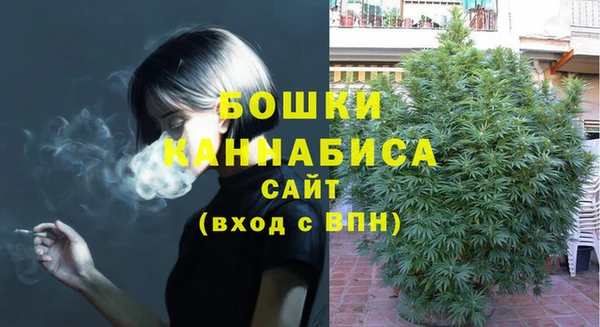 mix Богородск
