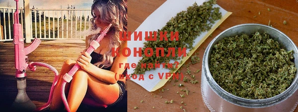 mix Богородск