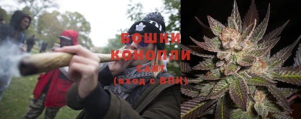 каннабис Богданович