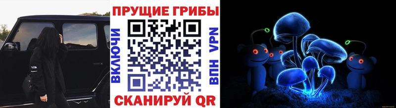 Псилоцибиновые грибы ЛСД  Липецк 